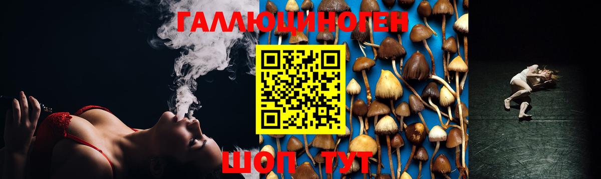 Оренбург  Псилоцибиновые грибы Psilocybe  Вход с VPN 
